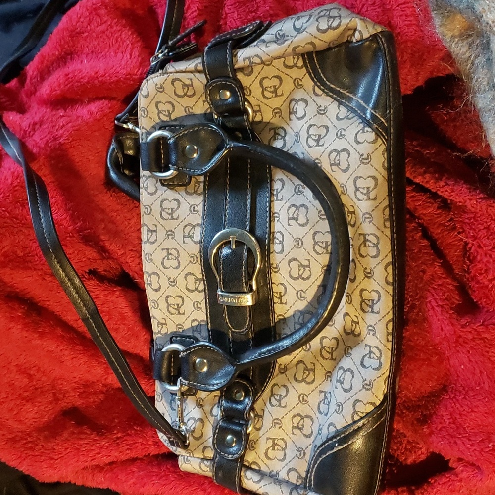 Carry land purse